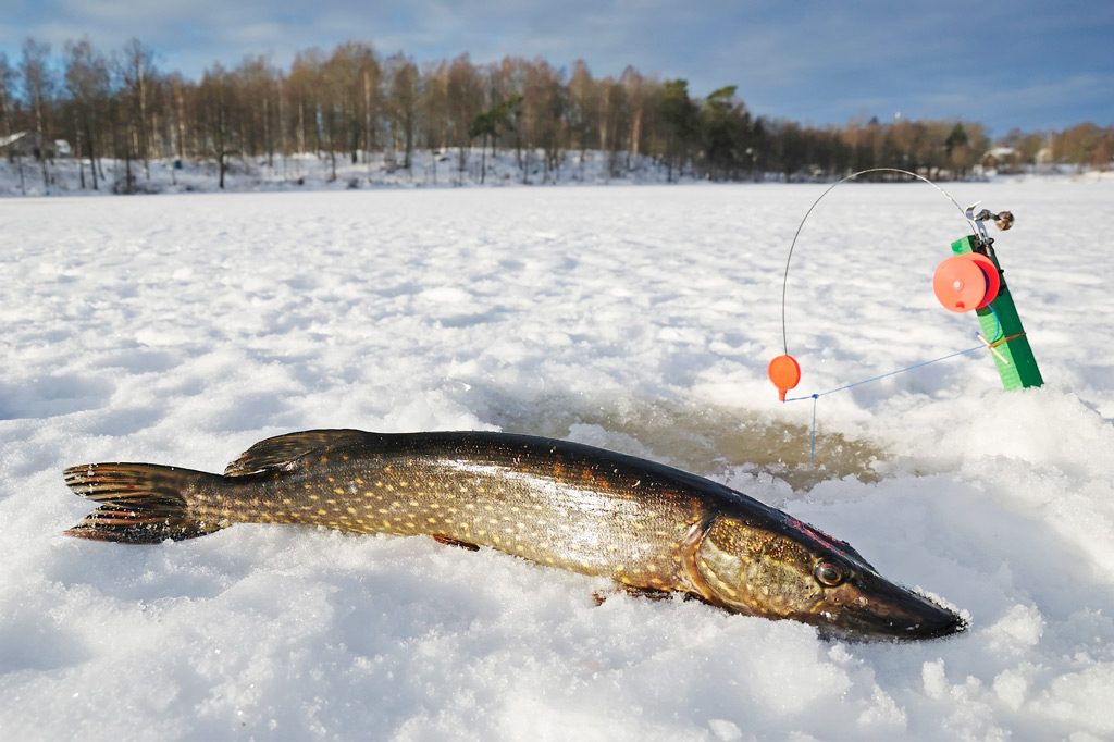 Рыбалка в Мытищах на Волковском водохранилище - информация, советы, рекомендации